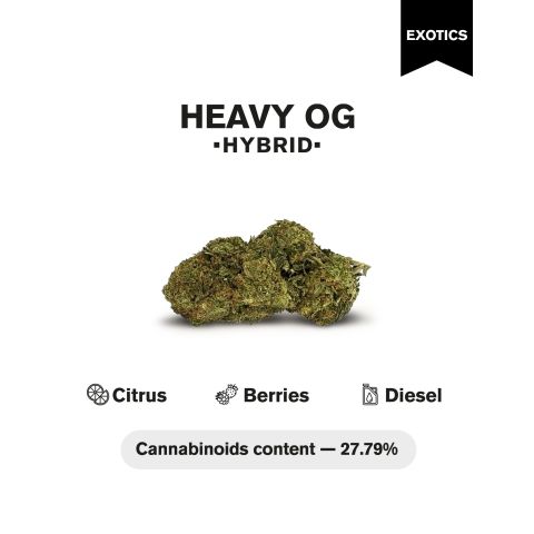 Heavy OG Flower - Hybrid - THCA - Thumbnail 4