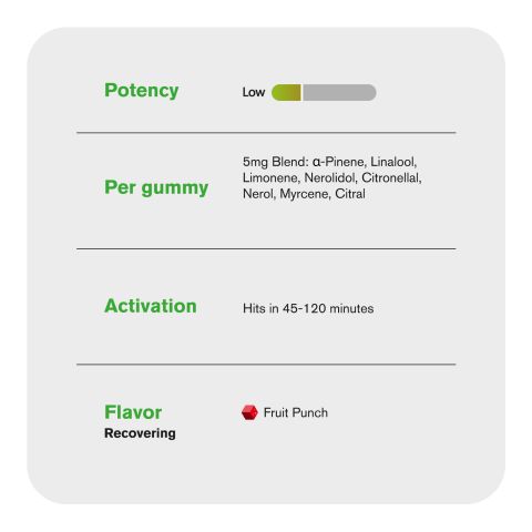 Terpene Gummies - 10mg - Fruit Punch - Terps Gummies - Thumbnail 5