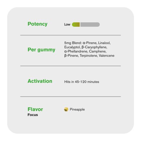 Terpene Gummies - 10mg - Pineapple - Terps Gummies - Thumbnail 5