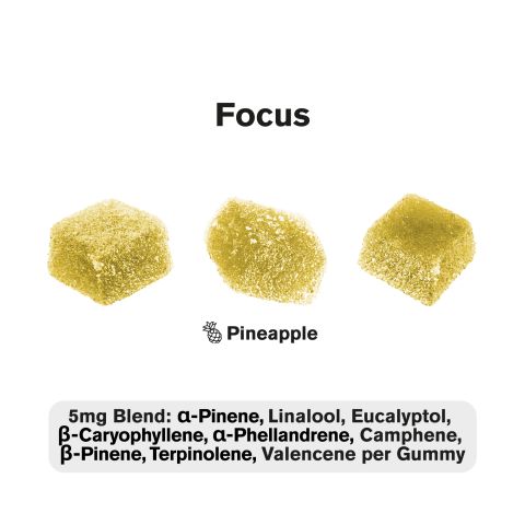 Terpene Gummies - 10mg - Pineapple - Terps Gummies - Thumbnail 4