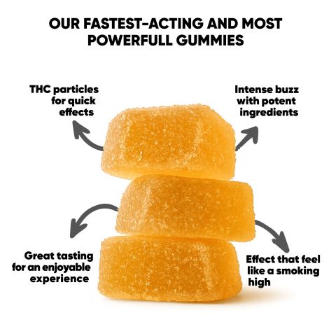 Terpenes Gummies - 10mg - Mango - Terps Gummies - Thumbnail 10