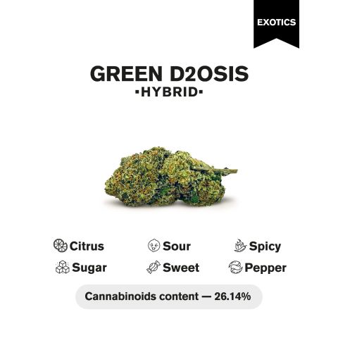 Green D2OSIS Flower - Hybrid - THCA - Thumbnail 4