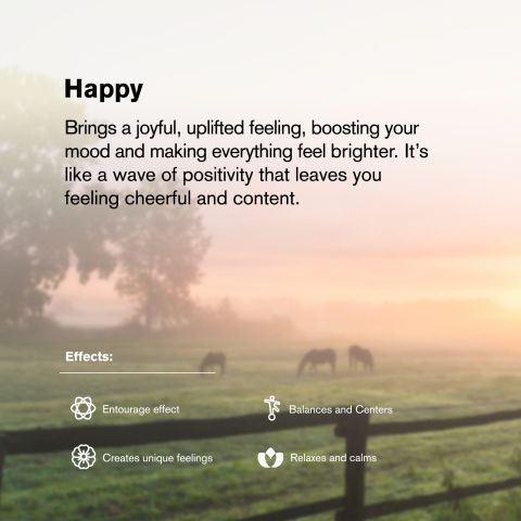 Happy Blend - 6000mg - Sativa Vape Pen - 6ml - Blends by Fresh - Thumbnail 6