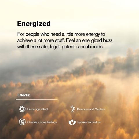 Charged Blend - 2000mg - Sativa Vape Cart - 2ml - Blends by Fresh - Thumbnail 6