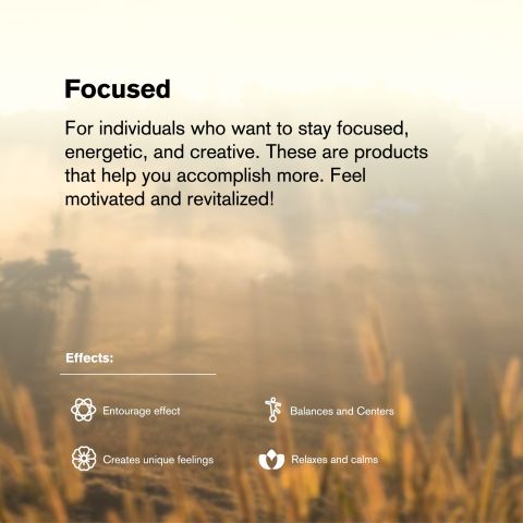 Focus Blend - 2000mg - Sativa Vape Cart - 2ml - Blends by Fresh - Thumbnail 6