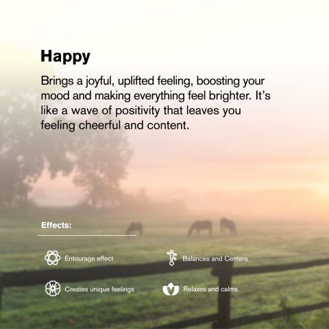 Happy Blend - 2000mg - Sativa Vape Cart - 2ml - Blends by Fresh - Thumbnail 6