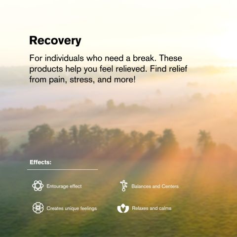 Recovery Blend - 2000mg - Hybrid Vape Cart - 2ml - Blends by Fresh - Thumbnail 6