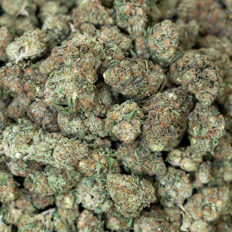 Apple Fritter Flower - Hybrid - THCA - Thumbnail 3