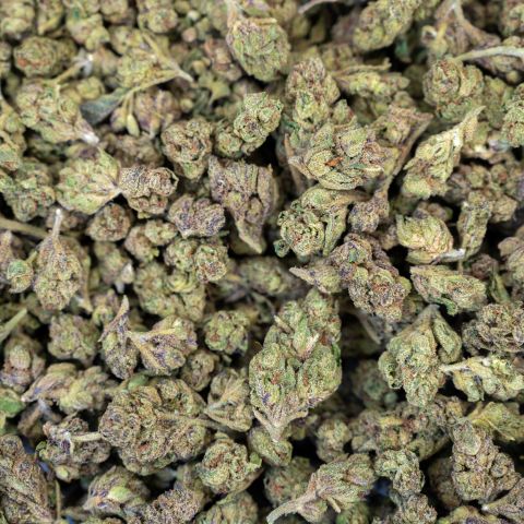 Gelato Haze Flower - Hybrid - THCA - Thumbnail 2