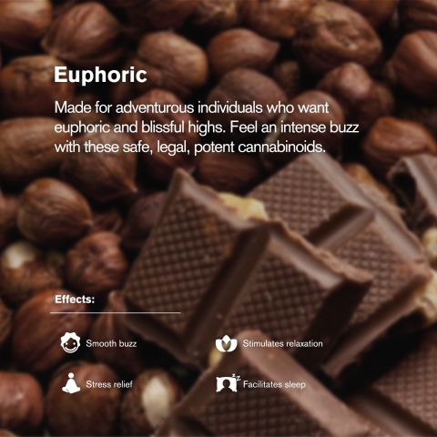 D8 & THCP Waffle Cones - 100mg - Hazelnut Cream + Milk Chocolate - Chill Plus - Thumbnail 4