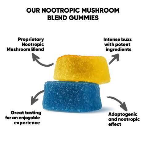 Nootropic Mushroom Blend Gummies - Mushroom Blend - 22.5mg - Fruity Mix - Hocus Pocus - Thumbnail 7