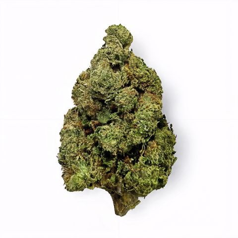 Area 41 Flower - THCA - Hybrid - Thumbnail 1