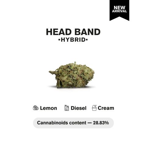 Head Band Flower - THCA - Hybrid - Thumbnail 4