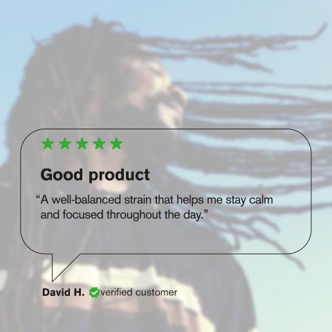 Diablo Flower - THCA - Sativa - Thumbnail 7