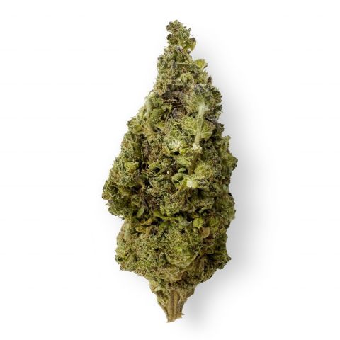 Lemon Bean Flower - THCA - Sativa - Thumbnail 1