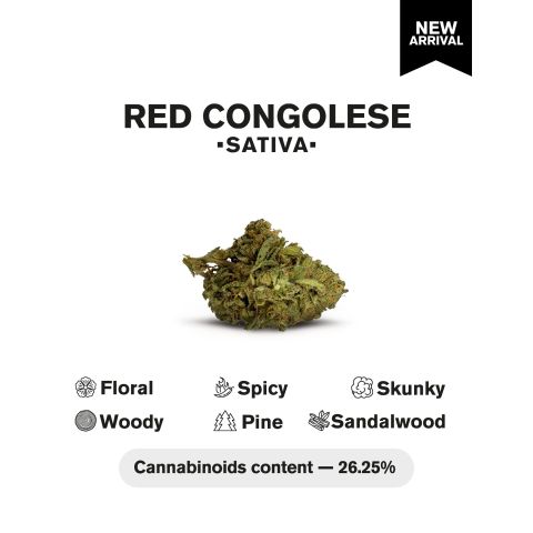 Red Congolese Flower - THCA - Sativa - Thumbnail 4
