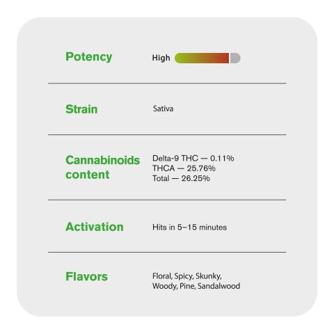 Red Congolese Mini Pre-Rolls - 0.5g - THCA - 5 Joints - Chill Plus - Thumbnail 8