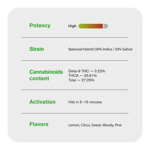 Area 41 King Size Pre-Roll - 1.5g - THCA - 1 Joint - Chill Plus - Thumbnail 7