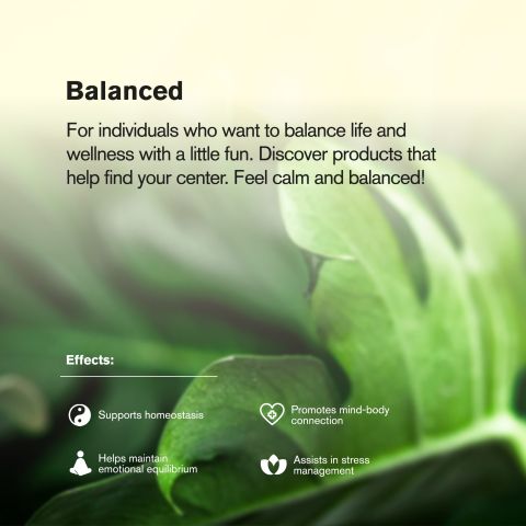 Area 41 King Size Pre-Roll - 1.5g - THCA - 1 Joint - Chill Plus - Thumbnail 8