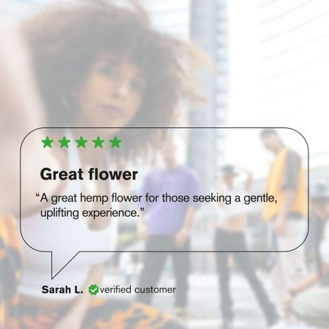 Area 41 King Size Pre-Roll - 1.5g - THCA - 1 Joint - Chill Plus - Thumbnail 9