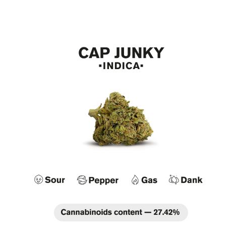 Cap Junky King Size Pre-Roll - 1.5g - THCA - 1 Joint - Chill Plus - Thumbnail 5