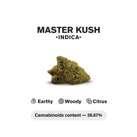 Master Kush King Size Pre-Roll - 1.5g - THCA - 1 Joint - Chill Plus - Thumbnail 5