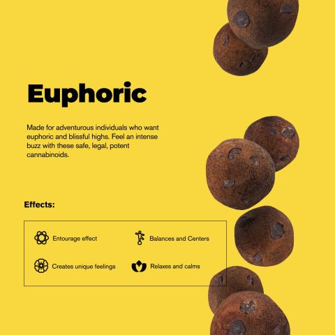 Delta 8 Dough Bites - 10mg - Double Chocolate Chip Bites - Chill Plus - Thumbnail 5