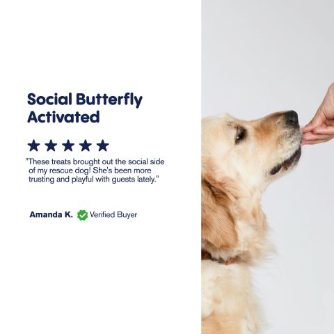 Beef Chew - CBD Pet Treats For Dogs - 500mg - MediPets - Thumbnail 6