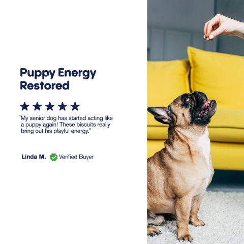 Biscuits - CBD Pet Treats For Dogs - 500mg - MediPets - Thumbnail 6