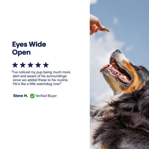 Grilled Chicken - CBD Pet Treats For Dogs - 300mg - MediPets - Thumbnail 6