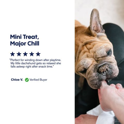 Mini Hot Dogs - CBD Pet Treats For Dogs - 600mg - MediPets - Thumbnail 6