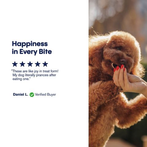 Pigs in a Blanket - CBD Pet Treats For Dogs - 300mg - MediPets - Thumbnail 6