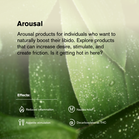 Forbidden Fruit King Size Pre-Roll - Indica - 1.5g - THCA - 1 Joint - Thumbnail 8