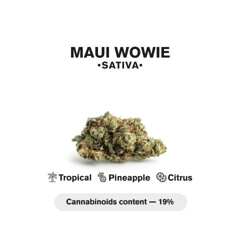 Maui Wowie King Size Pre-Roll - Sativa - 1.5g - THCA - 1 Joint - Thumbnail 5