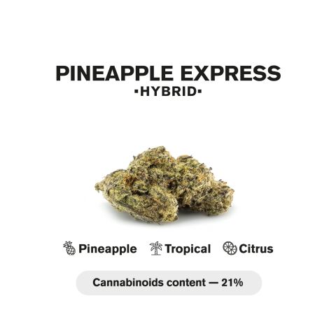 Pineapple Express Mini Pre-Roll - Hybrid - 0.5g - THCA - 5 Joints - Thumbnail 5