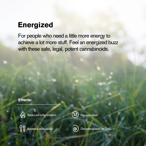 Sour Diesel King Size Pre-Roll - Sativa - 1.5g - THCA - 1 Joint - Thumbnail 8