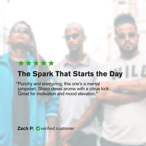 Sour Diesel King Size Pre-Roll - Sativa - 1.5g - THCA - 1 Joint - Thumbnail 9