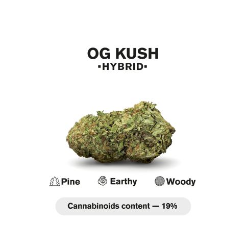 Runtz King Size Pre-Roll - Hybrid - 1.5g - THCA - 5 Joints - Thumbnail 5