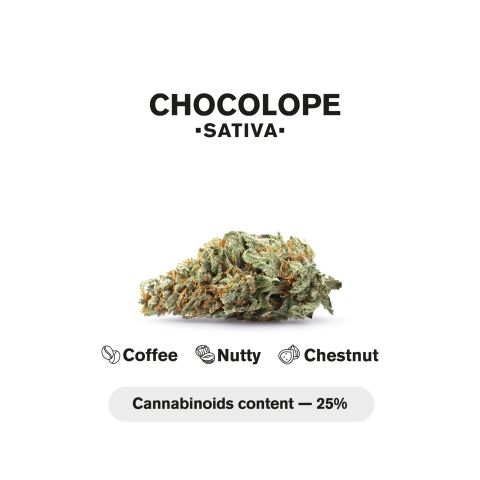 Chocolope King Size Pre-Roll - Sativa - 1.5g - THCA - 1 Joint - Thumbnail 5