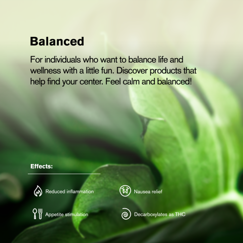 G King Size Pre-Roll - Sativa - 1.5g - THCA - 1 Joint - Thumbnail 8