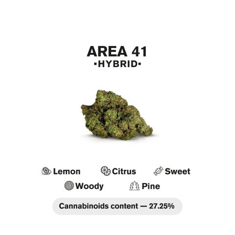 Area 41 King Size Pre-Roll - Hybrid - 1.5g - THCA - 5 Joints - Thumbnail 5