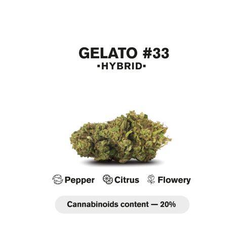 Gelato #33 King Size Pre-Roll - Hybrid - 1.5g - THCA - 1 Joint - Thumbnail 5