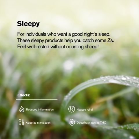 GrandDaddy Purp King Size Pre-Roll - Indica - 1.5g - THCA - 1 Joint - Thumbnail 8