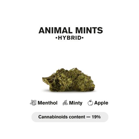 Animal Mints Mini Pre-Roll - Hybrid - 0.5g - THCA - 5 Joints - Thumbnail 5