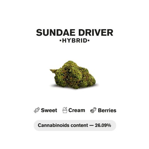Sundae Driver King Size Pre-Roll - Hybrid - 1.5g - THCA - 5 Joints - Thumbnail 5