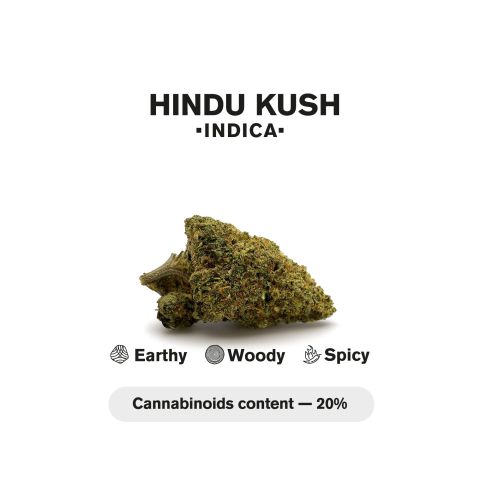 Hindu Kush Mini Pre-Roll - Indica - 0.5g - THCA - 5 Joints - Thumbnail 5