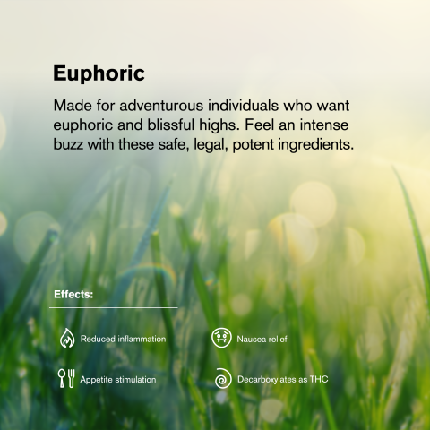 Gelato #33 Mini Pre-Roll - Hybrid - 0.5g - THCA - 5 Joints - Thumbnail 9