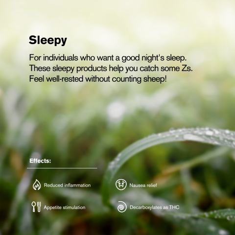 Northern Lights King Size Pre-Roll - Indica - THCA - 5 Joints - Thumbnail 9