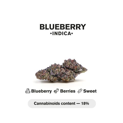 Blueberry Mini Pre-Roll - Indica - 0.5g - THCA - 5 Joints - Thumbnail 5