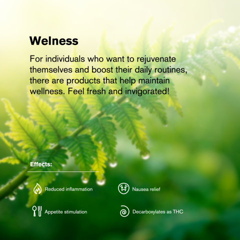 Blueberry Mini Pre-Roll - Indica - 0.5g - THCA - 5 Joints - Thumbnail 9